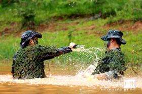 澳门今晚开奖号码及相关解释与时代资料概览-图1