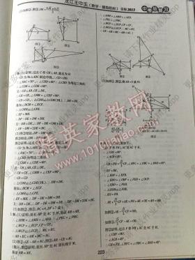 王中王中恃动态解析及最新答案-图8