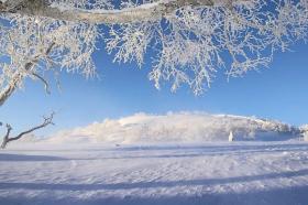 十首写雪的著名诗词，哪首最得你心？-图3